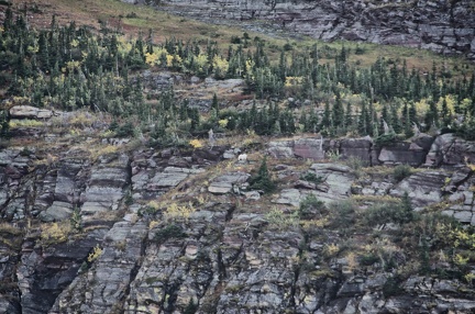 Canada 39 Iceberg Lake Trail 65