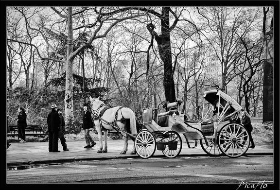 NYC 03 Central Park 01