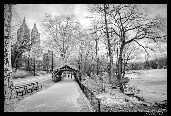 NYC 03 Central Park 10