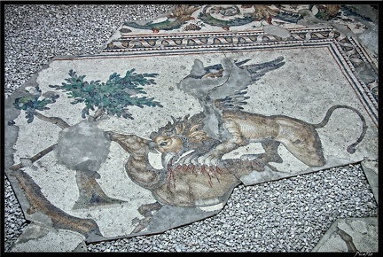 Istanbul 12 Musee Mosaique 24