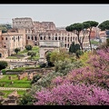 Rome 590