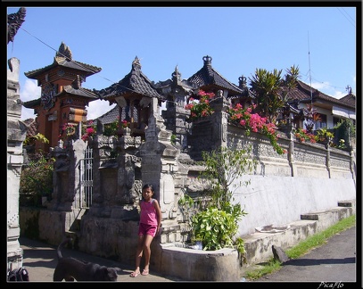 BALI 02 BEDUGUL 08