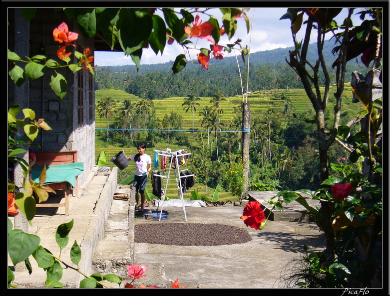 BALI_02_BEDUGUL_11.jpg