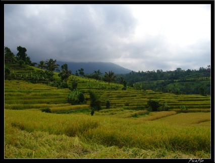 BALI 02 BEDUGUL 34