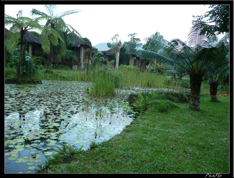 BALI 02 BEDUGUL 71