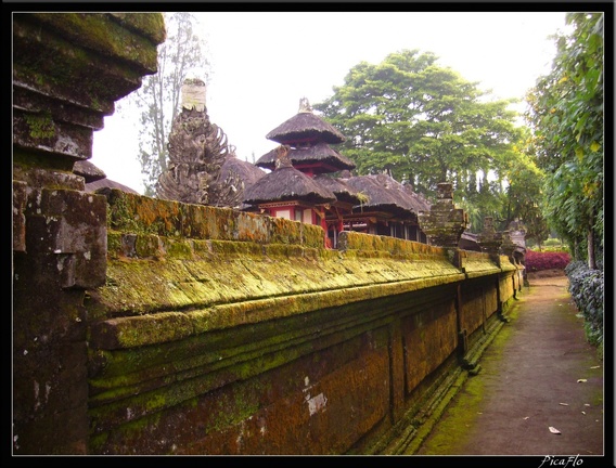 BALI 02 BEDUGUL 78