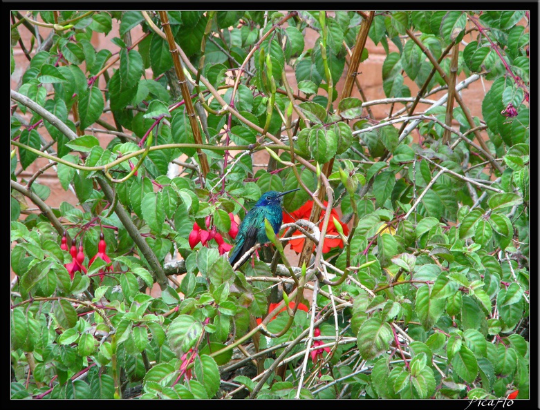 EQUATEUR_02_OTAVALO_15.jpg