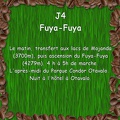 EQUATEUR 04 FUYA-FUYA 00