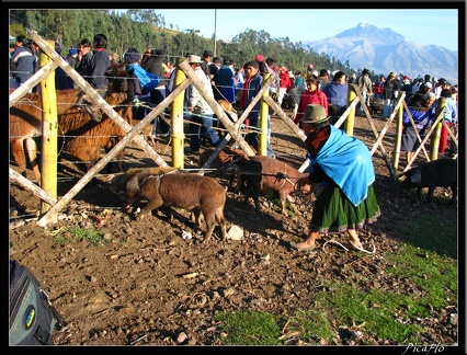 EQUATEUR 05 OTAVALO 06