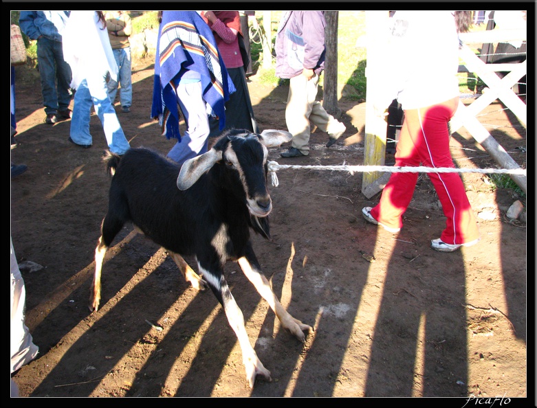 EQUATEUR_05_OTAVALO_07.jpg