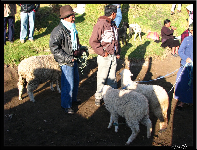 EQUATEUR_05_OTAVALO_08.jpg