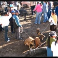 EQUATEUR 05 OTAVALO 10