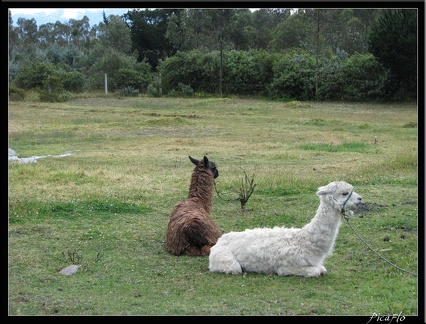 EQUATEUR 07 COTOPAXI 40