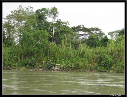 EQUATEUR 09 AMAZONIE 16