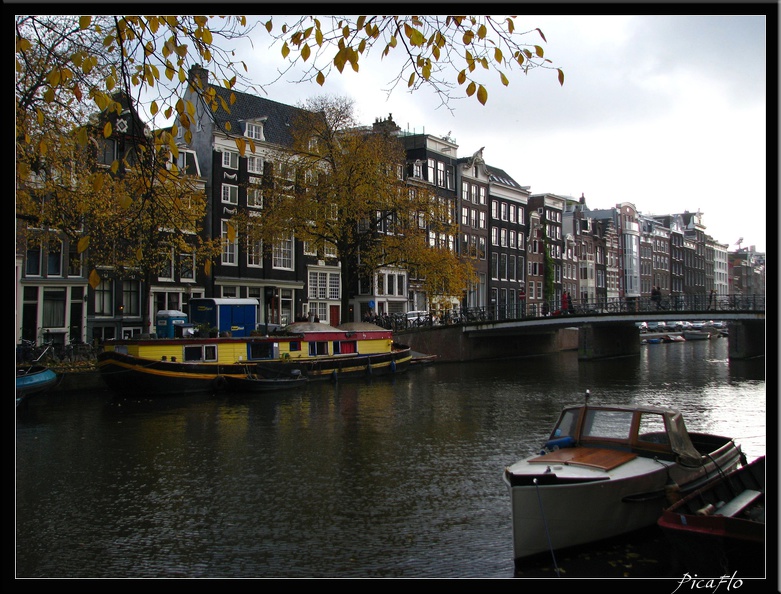 AMSTERDAM_079.jpg