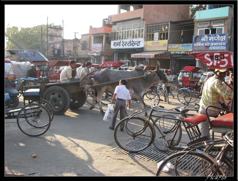 INDE NORD 01 JAIPUR 004