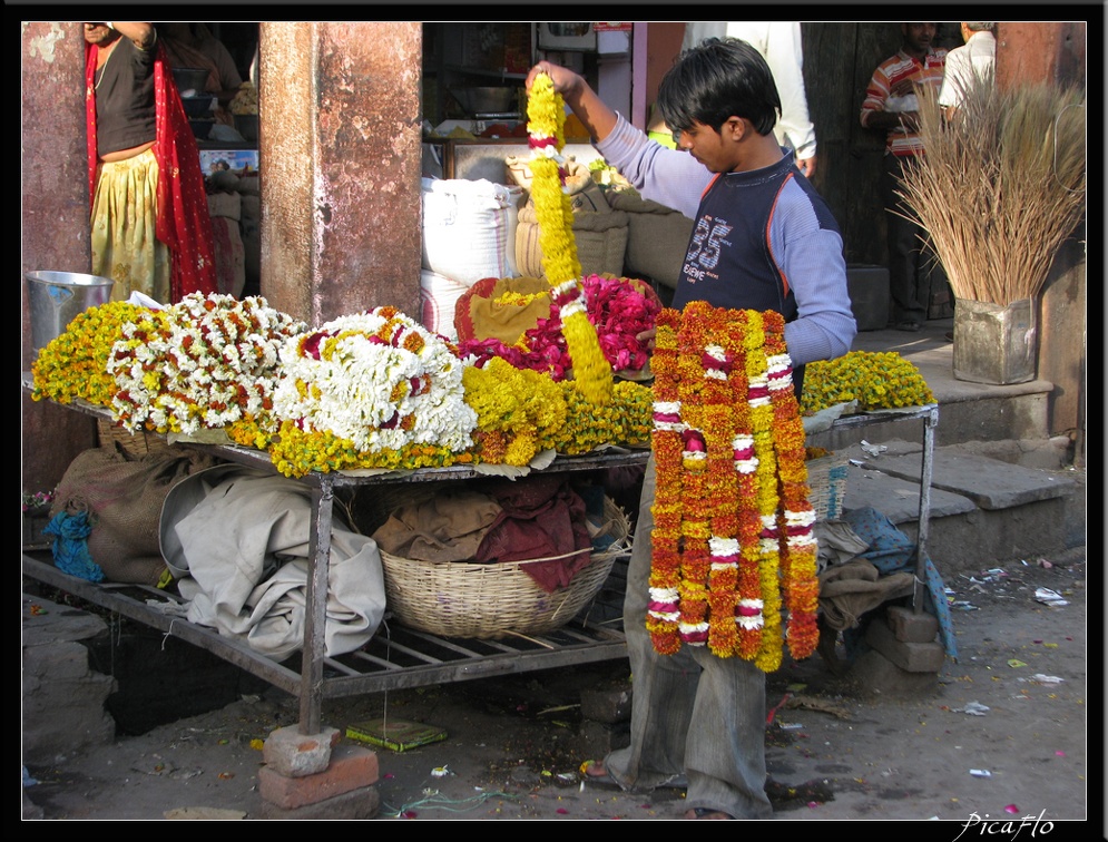 INDE NORD 01 JAIPUR 008