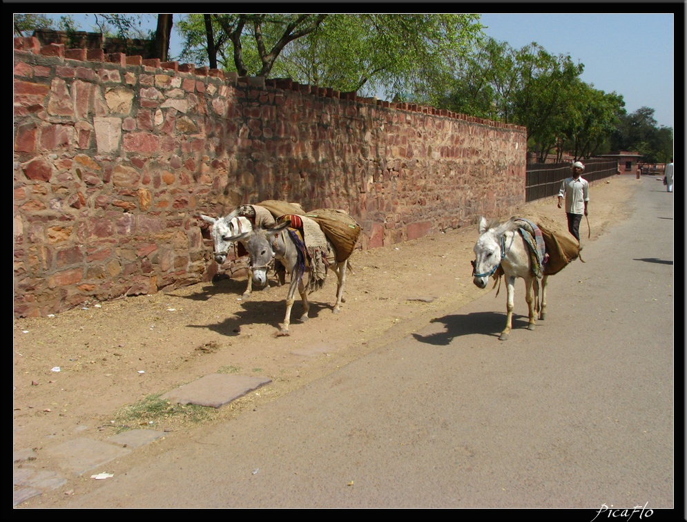 INDE NORD 02 FATEHPUR AGRA 021