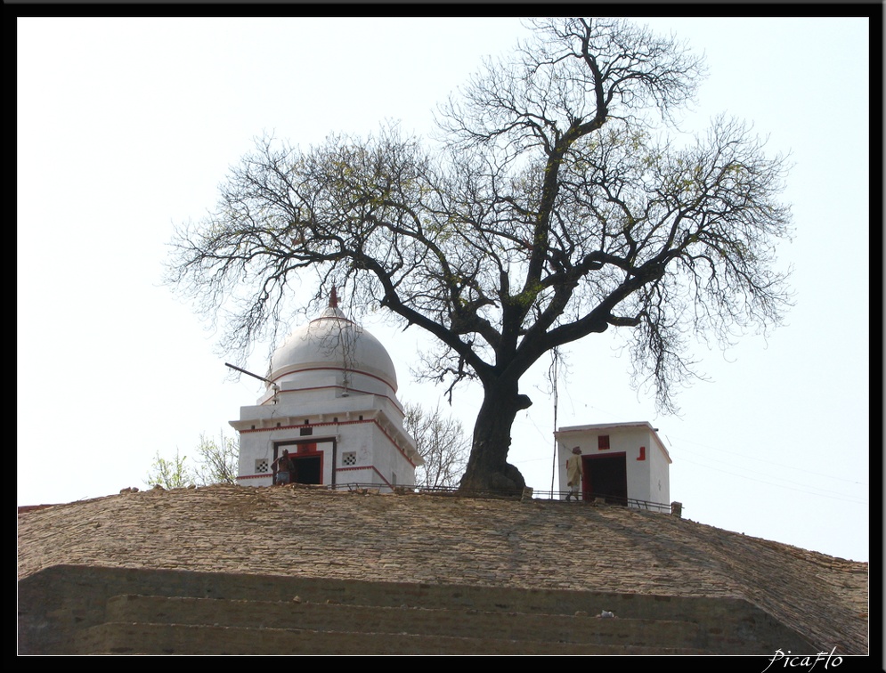 INDE NORD 03 VARANASI 004