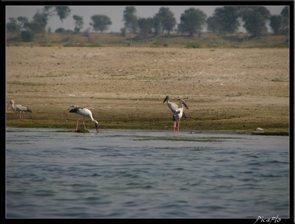 INDE NORD 04 VARANASI SARNATH 001