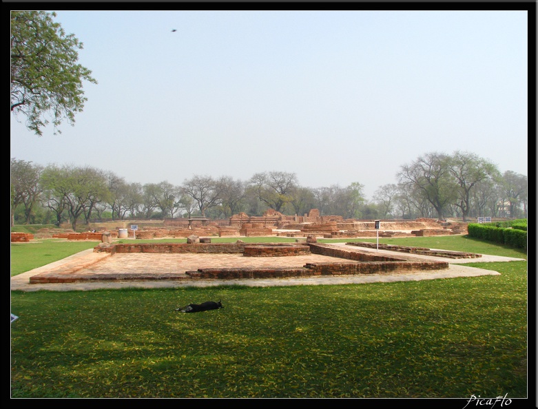 INDE_NORD_04_VARANASI_SARNATH_024.jpg