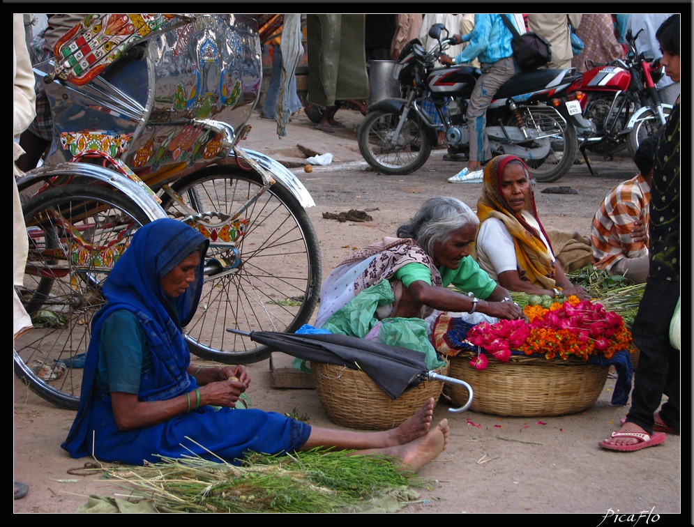 INDE NORD 04 VARANASI SARNATH 031