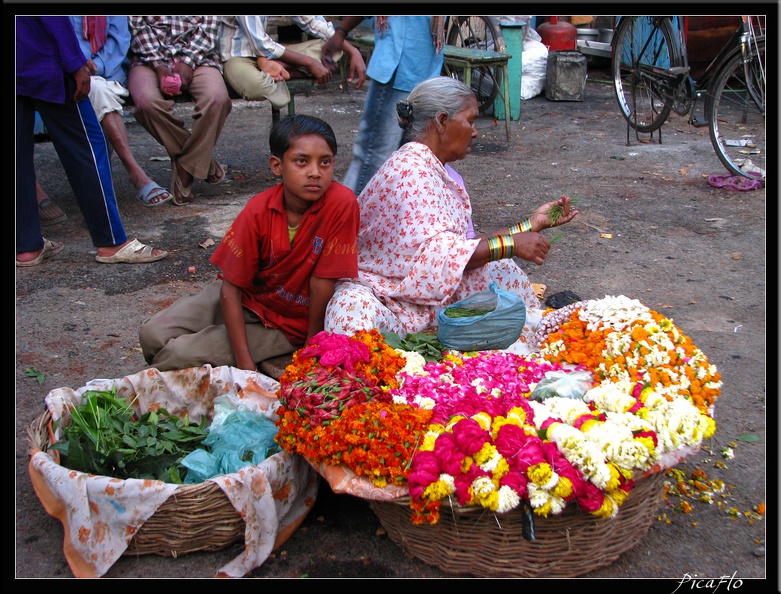 INDE NORD 04 VARANASI SARNATH 032