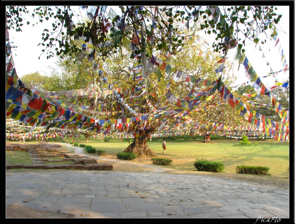 NEPAL 06 LUMBINI 039