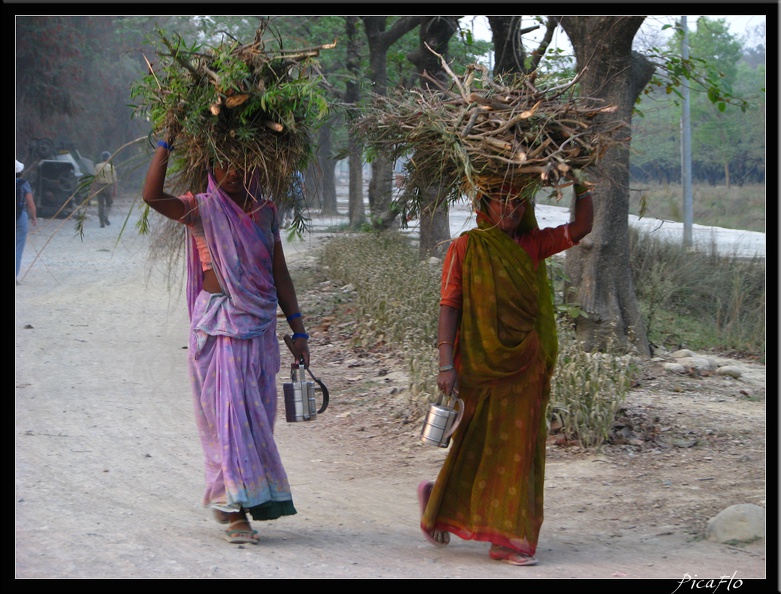 NEPAL_06_LUMBINI_048.jpg