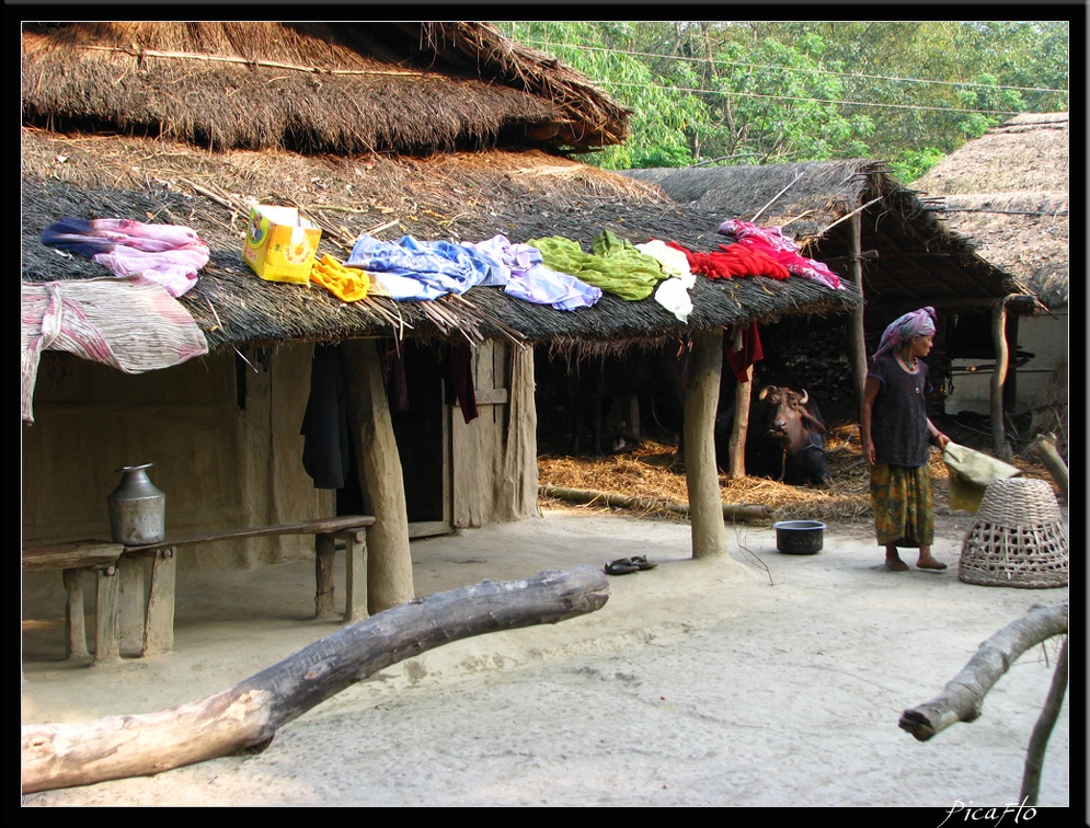 NEPAL 07 CHITWAN 011