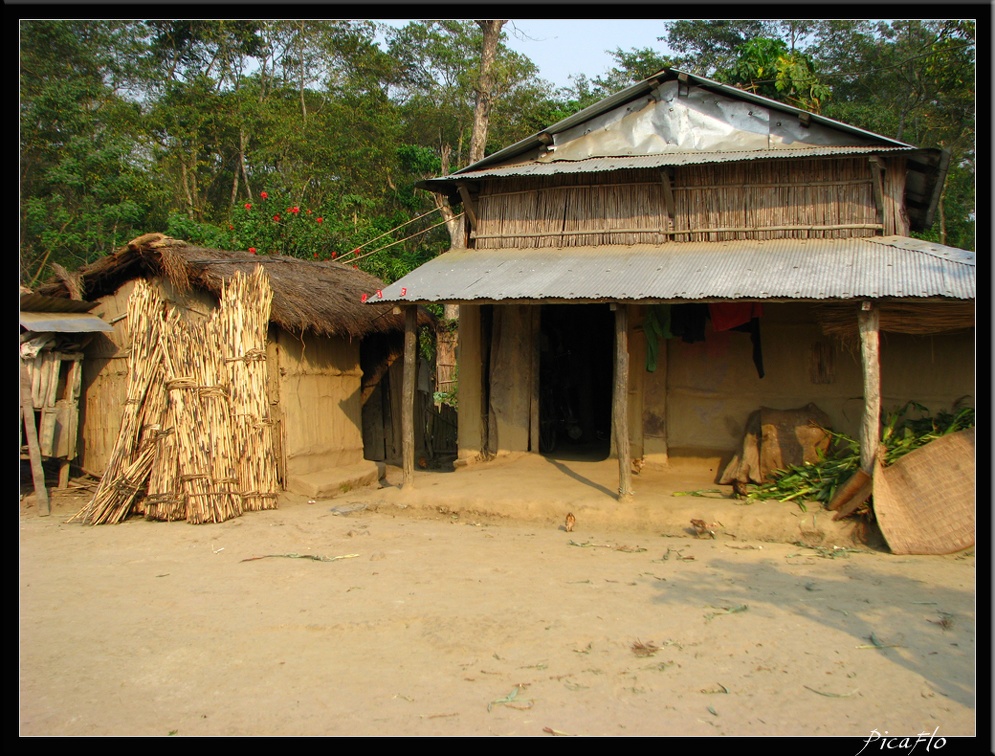 NEPAL 07 CHITWAN 015