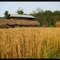 NEPAL 07 CHITWAN 020