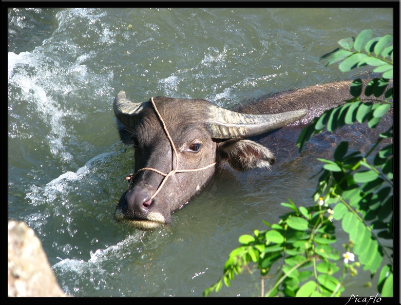 VIETNAM_03_LACS_BA_BE_009.jpg