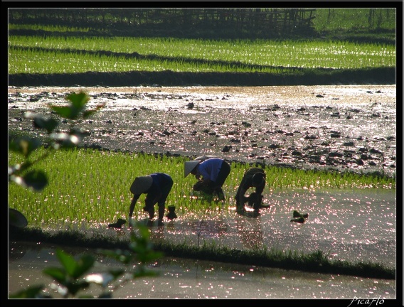 VIETNAM 04 LACS BA BE 010