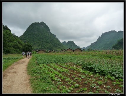 VIETNAM 06 QUANG HOA 061