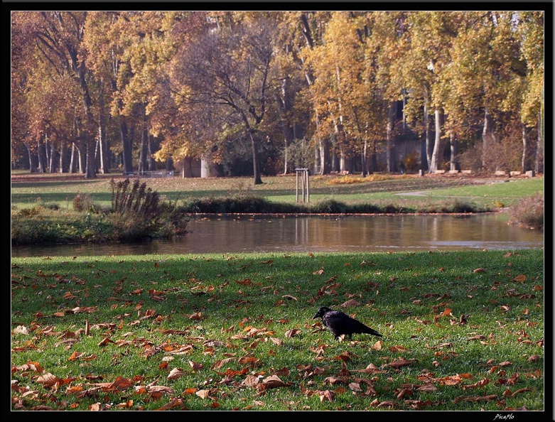 01 Schlossgarten Rosensteinpark Wilhelma 017