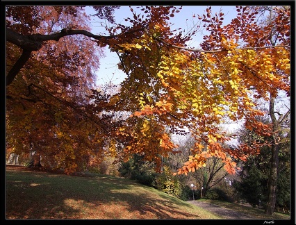 01 Schlossgarten Rosensteinpark Wilhelma 037