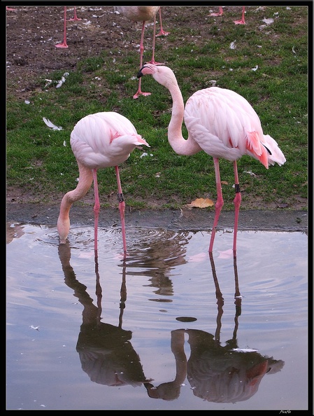 01_Schlossgarten_Rosensteinpark_Wilhelma_115.jpg