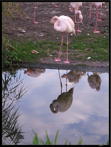 01_Schlossgarten_Rosensteinpark_Wilhelma_119.jpg