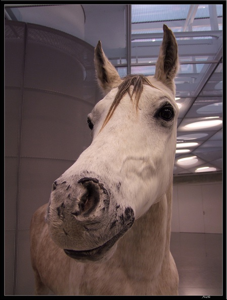 03 Musee Mercedes 004