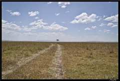 Kenya 01 Masai Mara 073