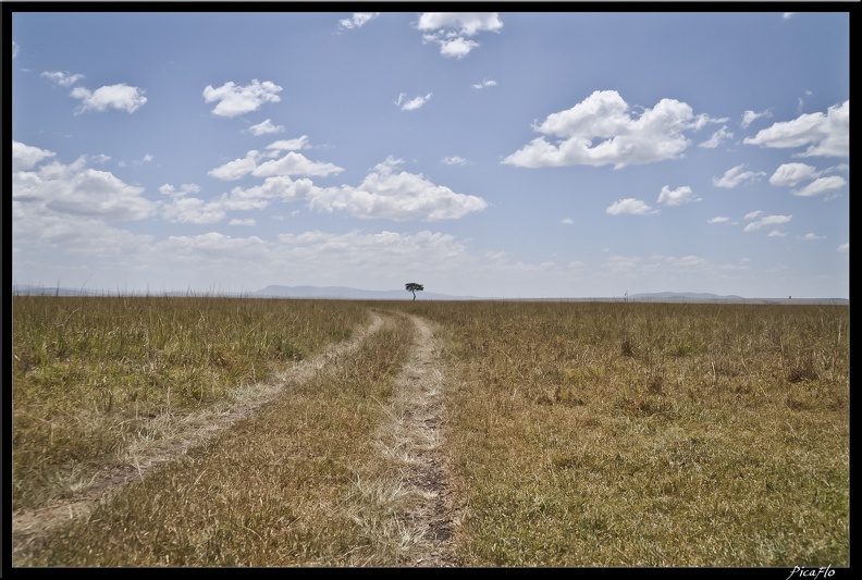 Kenya_01_Masai_Mara_073.jpg