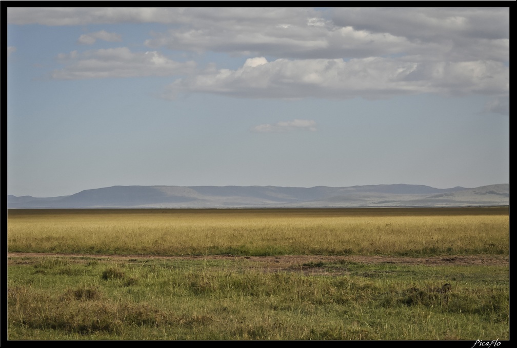 Kenya 01 Masai Mara 129