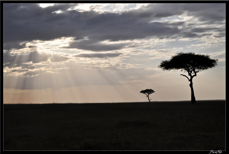 Kenya 01 Masai Mara 167