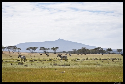 Kenya 03 Crescent Islands 043