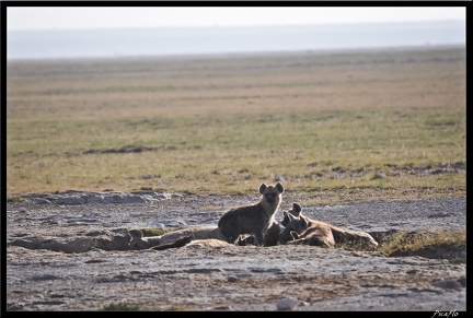 Kenya 04 Amboseli 025