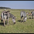 Kenya 04 Amboseli 085