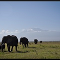 Kenya 04 Amboseli 087