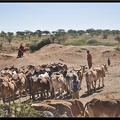 Kenya 04 Amboseli 131