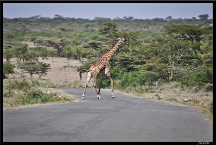 Kenya 07 Routes 026